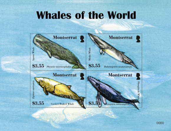 Montserrat - Whales - 4  Stamp Sheet  MOT0804SH