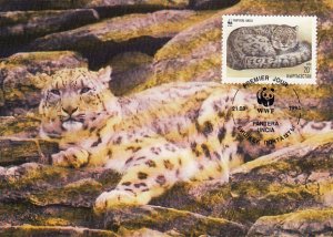 Kyrgyzstan 1994 Maxicard Sc #30 20t Snow leopard WWF