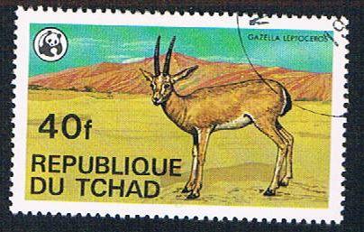 Chad 367 Used Gazelle (BP12417)