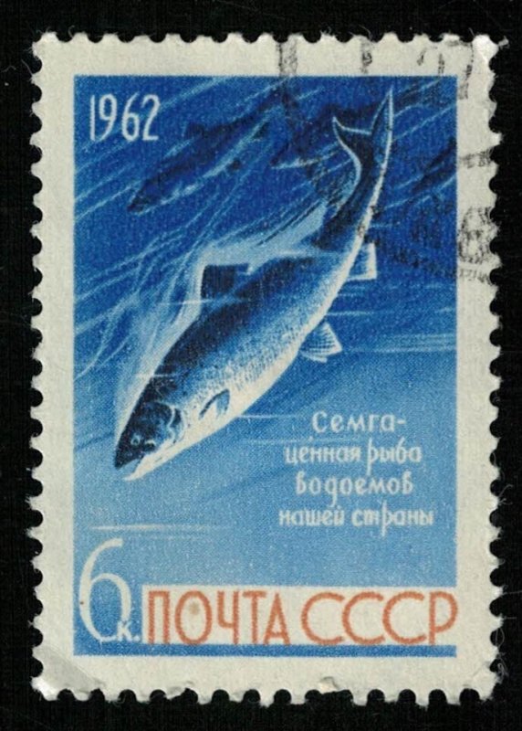 Salmon, 6 kop, 1962 (T-6860)