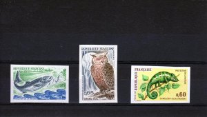 France 1971  Owl-Salmon-Chameleon Set(3) Imperforated YT# 1692/1694  MNH