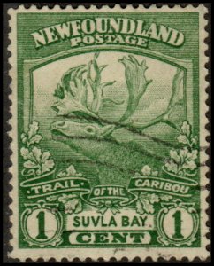 Newfoundland 115 - Used - 1c Caribou (1919) (cv $0.35)