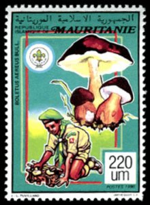 Mauritania 1991 Imperf. Scouting & Mushrooms Full No. 987 - 992 - Bl 74-