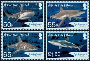 ASCENSION ISLAND 2022 SHARKS GALAPAGOS REQUINS HAI MARINE FAUNA