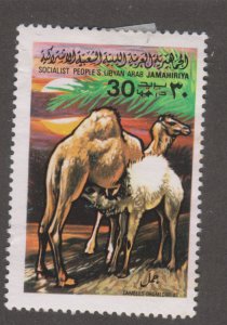 Libya 801 Arabian Camel  1979