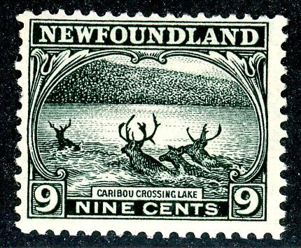 Newfoundland, Scott #138, Mint, Never Hinged