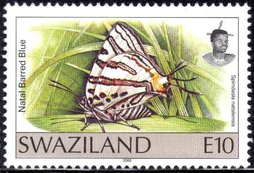 Swaziland - 2000 Butterflies E10 MNH** SG 619