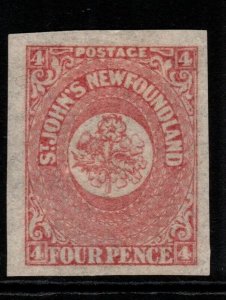 NEWFOUNDLAND SG18 1862 4d ROSE-LAKE MTD MINT