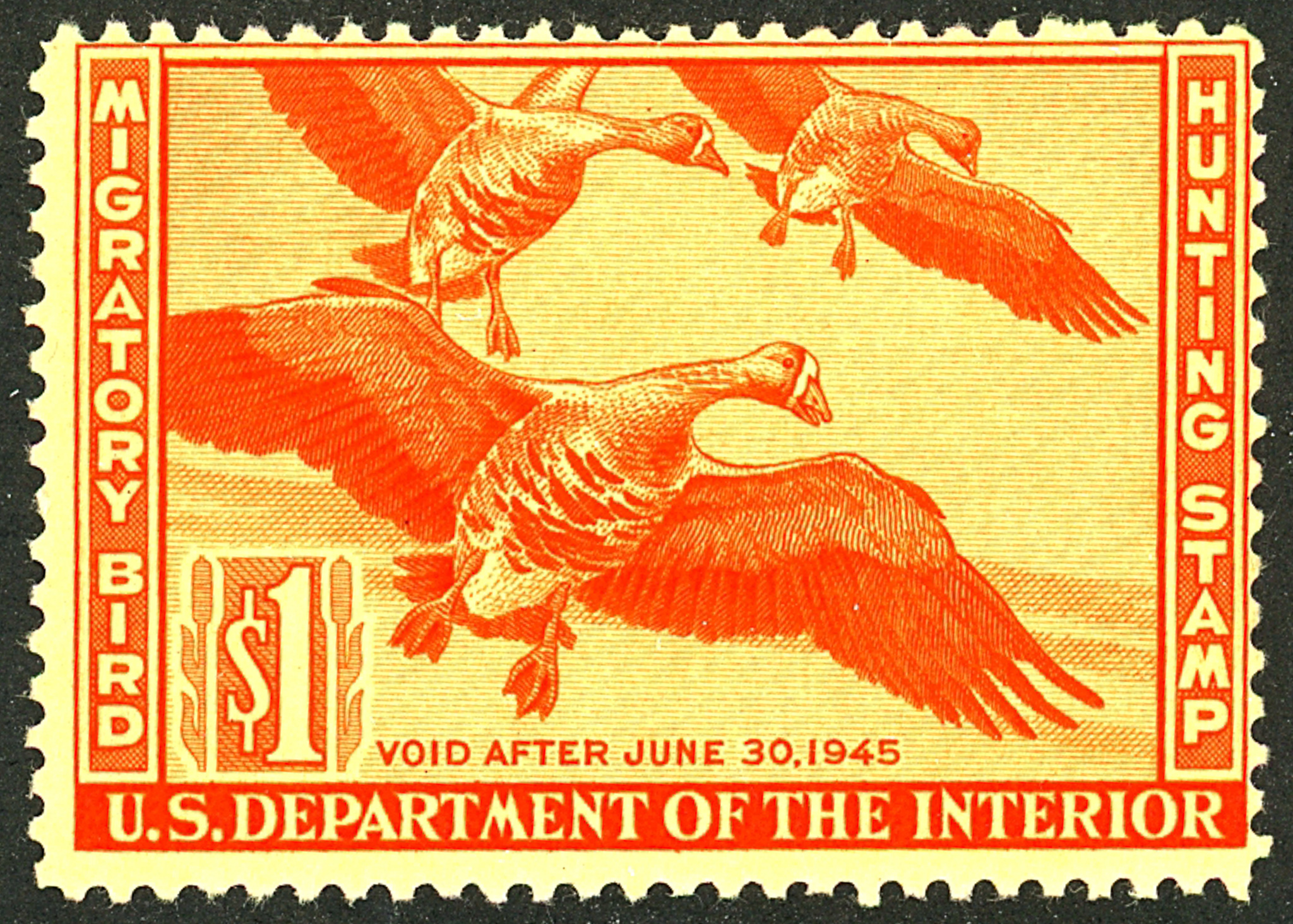 U.S. Rw11 Mint OG LH United States, Duck Stamps Federal Stamp