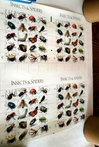 Scott #3351 Insects and Spiders UNCUT Sheet of Stamps (80 stamps) MNH