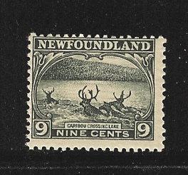Newfoundland   Mint  sc#  138