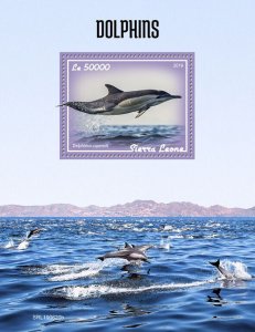 Sierra Leone 2019 MNH Marine Animals Stamps Dolphins Short-Beaked Dolphin 1v S/S