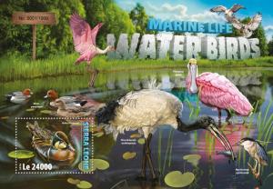SIERRA LEONE 2016 SHEET WATER BIRDS srl16308b