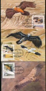 ISRAEL 2013 VULTURES MAXIMUM CARDS FDC WITH TAB