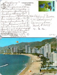 Bahamas, Picture Postcards, Birds