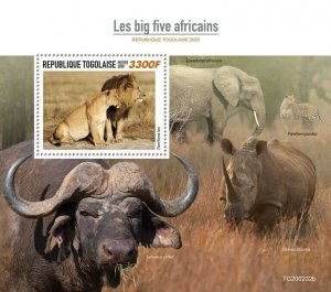 Togo Wild Animals Stamps 2020 MNH Big Five Elephants Leopards Lions Fauna 1v S/S