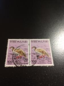 Oman sc 233 u pair Bird