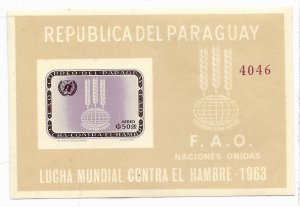 PARAGUAY 1963 FIGHT AGAINST HUNGER FAO UNITED NATIONS FOOD LILE IMPERF. SS