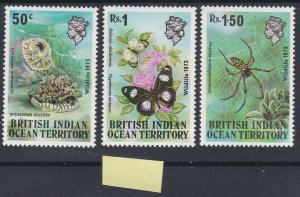 British Indian Ocean Territory 1973 Wildlife (1st series) MNH CV £11.75