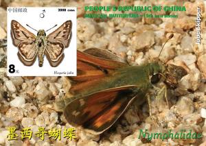 CHINA SHEET IMPERF CINDERELLA BUTTERFLIES INSECTS