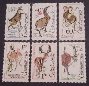 Mountain mammals, deer, mnh