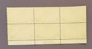 C20, Air Mail, Mint Plate Block of 6, gum skips and crease on back (see photo)