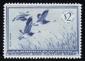 MOstamps - US #RW22 Mint OG NH Grade 95 with PSE Cert - Lot # MO-3191 SMQ $180