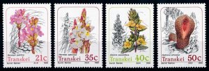 [67075] Transkel 1991 Flora flowers blumen fleur  MNH