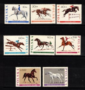 Poland Sc 1474-81 MNH SET of 1967 - 150th Anniv. of Horse Breeding - AJ08