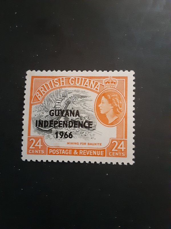 *Guyana #13*