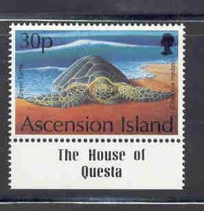 Ascension Sc 587 1994 30p Turtle stamp mint NH