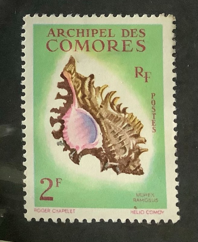 Comoro Islands 1962 Scott 50 MH - 2fr, Seashells, Murex ramosus