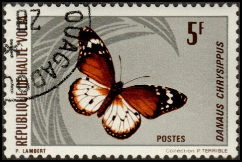 Upper Volta 247 - Cto - 5fr African Queen Butterfly (1971) (cv $0.35)
