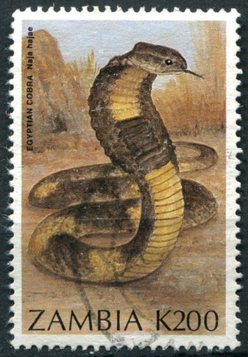 Zambia Sc#640 Used, 200k multi, Snakes (1994)