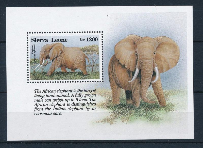 [28681] Sierra Leone 1993 Wild Life Mammals Elephant MNH Sheet