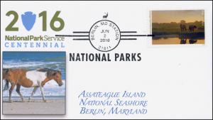 2016, National Parks, Centennial, Assateagua Island, BW, Berlin MD, 16-173