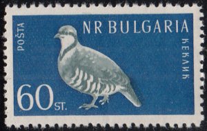 Bulgaria 1959 MNH Sc #1054 60s Rock partridge