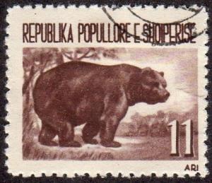 Albania 591 - Used - 11L Brown Bear (1961)