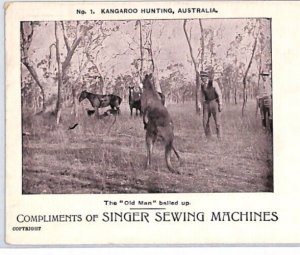 AUSTRALIA Postcard *KANGAROO HUNTING* Singer Sewing Machine Advert HORSES PJ177