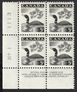 LOON, DUCK = CANADA 1957 #369 MNH LL Block of 4, Plate #1