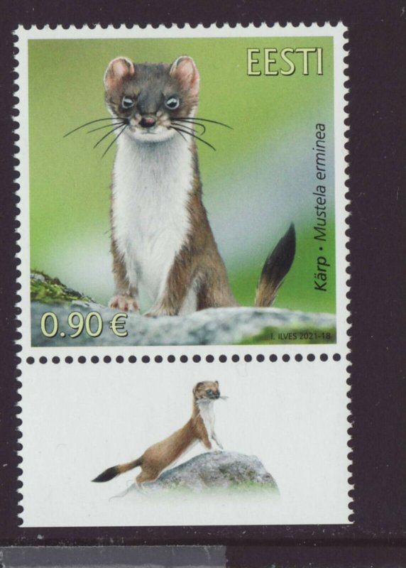 Estonia 2021 MNH - Estonian Fauna,The Stoat - stamp with label