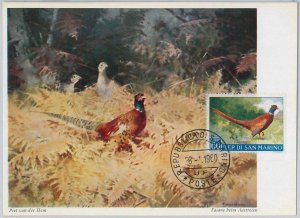 52668 - SAN MARINO - MAXIMUM CARD - ANIMALS Birds Pheasant 1960-