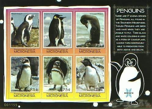 Penguins,, S/S 6, MICR07018