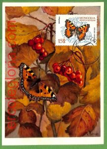 32402 - Mongolia - MAXIMUM CARD - Butterflies-