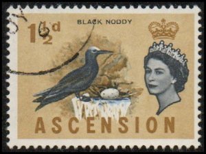 Ascension 76 - Used - 1 1/2p Black Booby (1963) (cv $1.00)