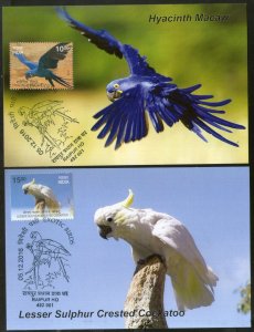 India 2016 Exotic Birds Parrots Blue Throated Macaw Wildlife Animals Fauna 6 ...