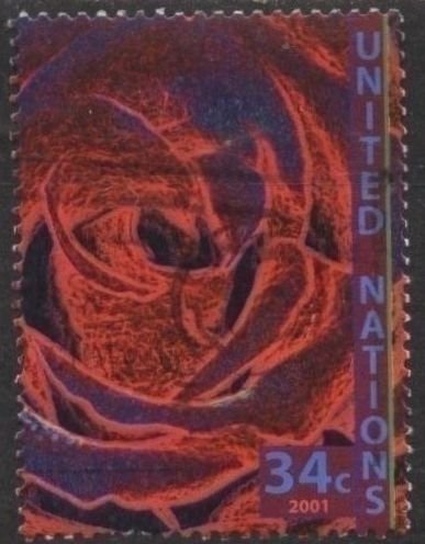 UN 804 (used) 34c rose (2001)