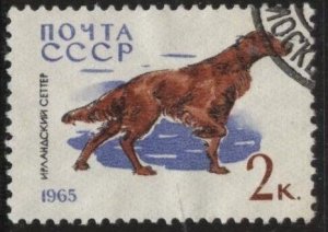 Russia 3001 (used cto) 2k dogs: Irish setter (1965)