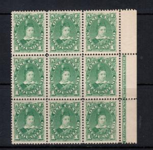 Newfoundland #44a Extra Fine Never Hinged Imprint Block Of Nine