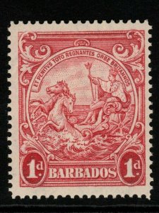BARBADOS SG249a 1938 1d SCARLET p14 MNH